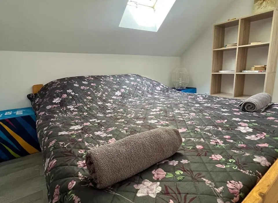 Big Attic Apartment Near Tauron Arena-1